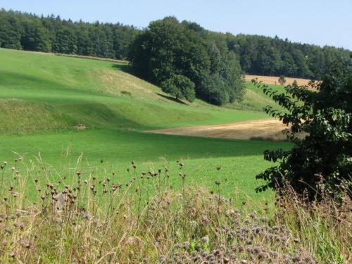 Landgasthof Zur Post Heiligenborn Стая снимка